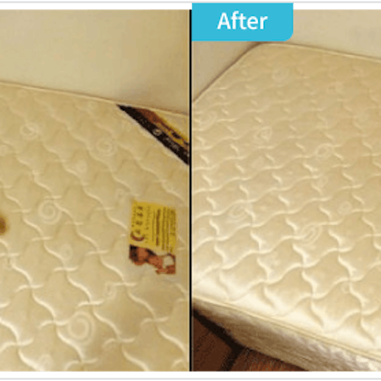 床墊清洗、沙發清潔案例 床墊清洗、沙發清潔案例