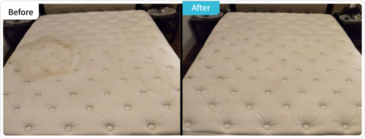 床墊清洗、沙發清潔案例