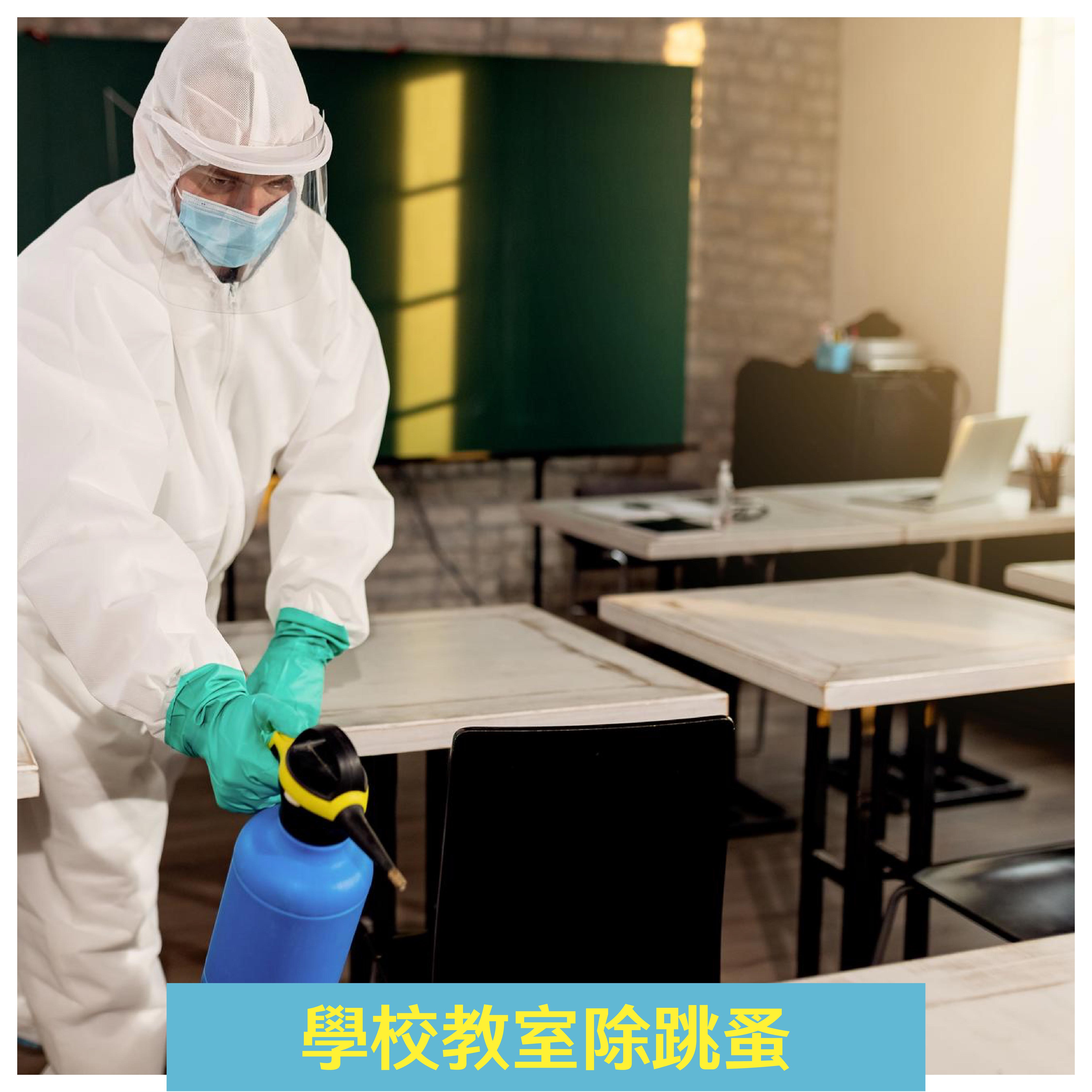 潔客幫除蟲公司案例｜學校教室除跳蚤