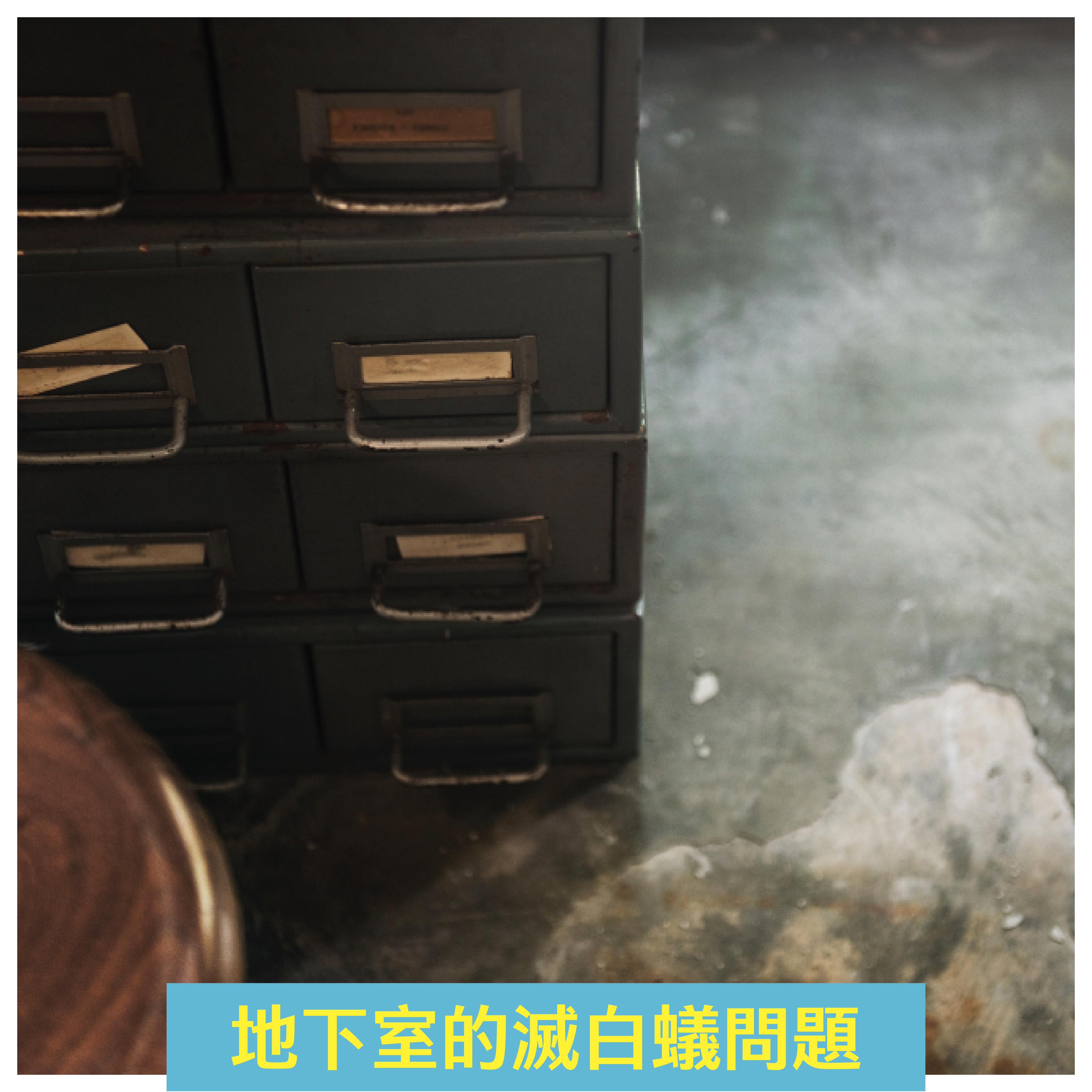 潔客幫除白蟻案例：地下室的滅白蟻問題