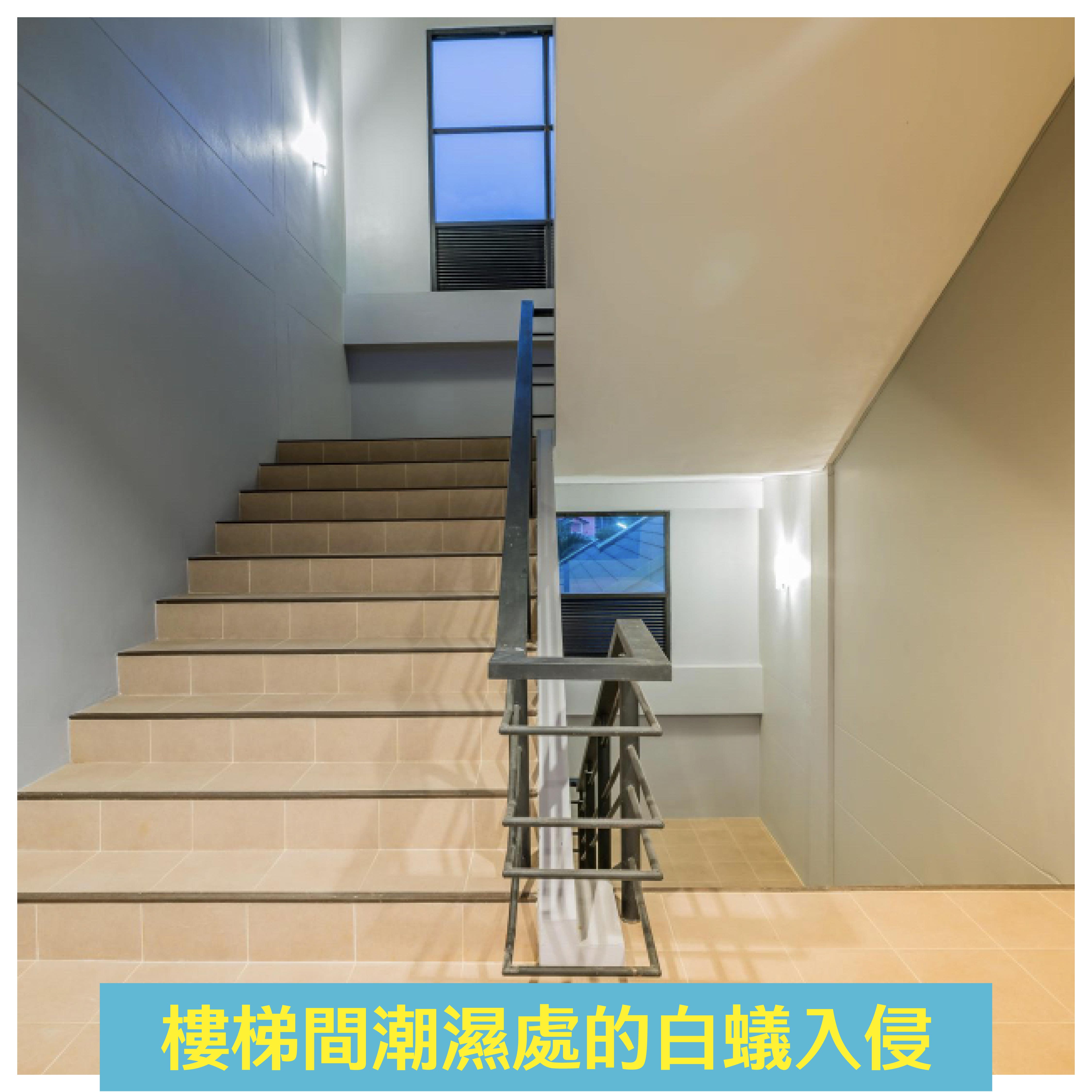 潔客幫除白蟻案例：樓梯間潮濕處的白蟻入侵