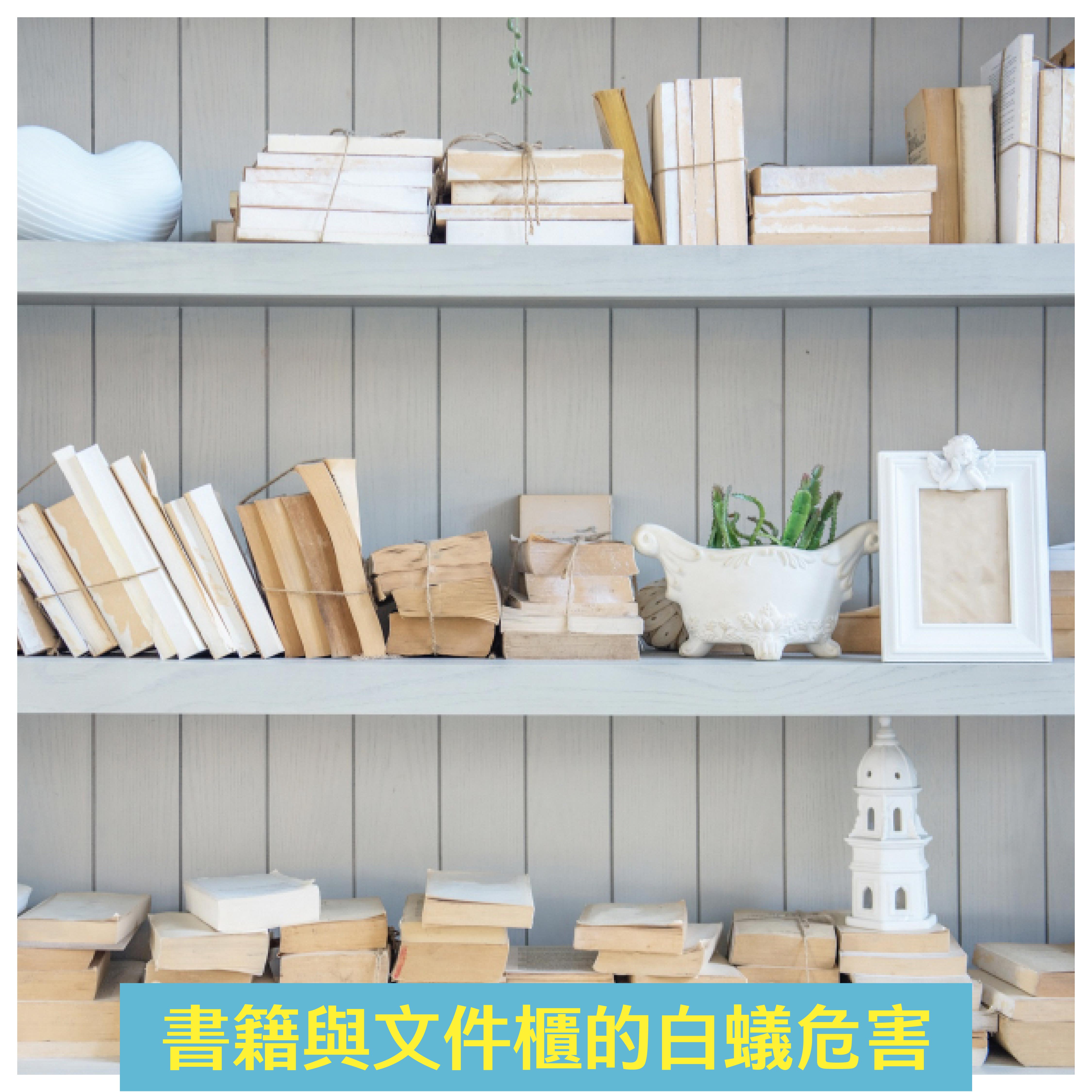 潔客幫除白蟻案例：書籍與文件櫃的白蟻危害