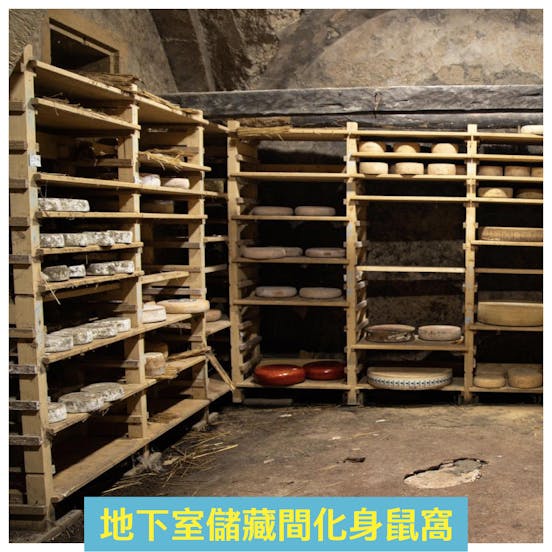 地下室儲藏間化身鼠窩 地下室儲藏間化身鼠窩