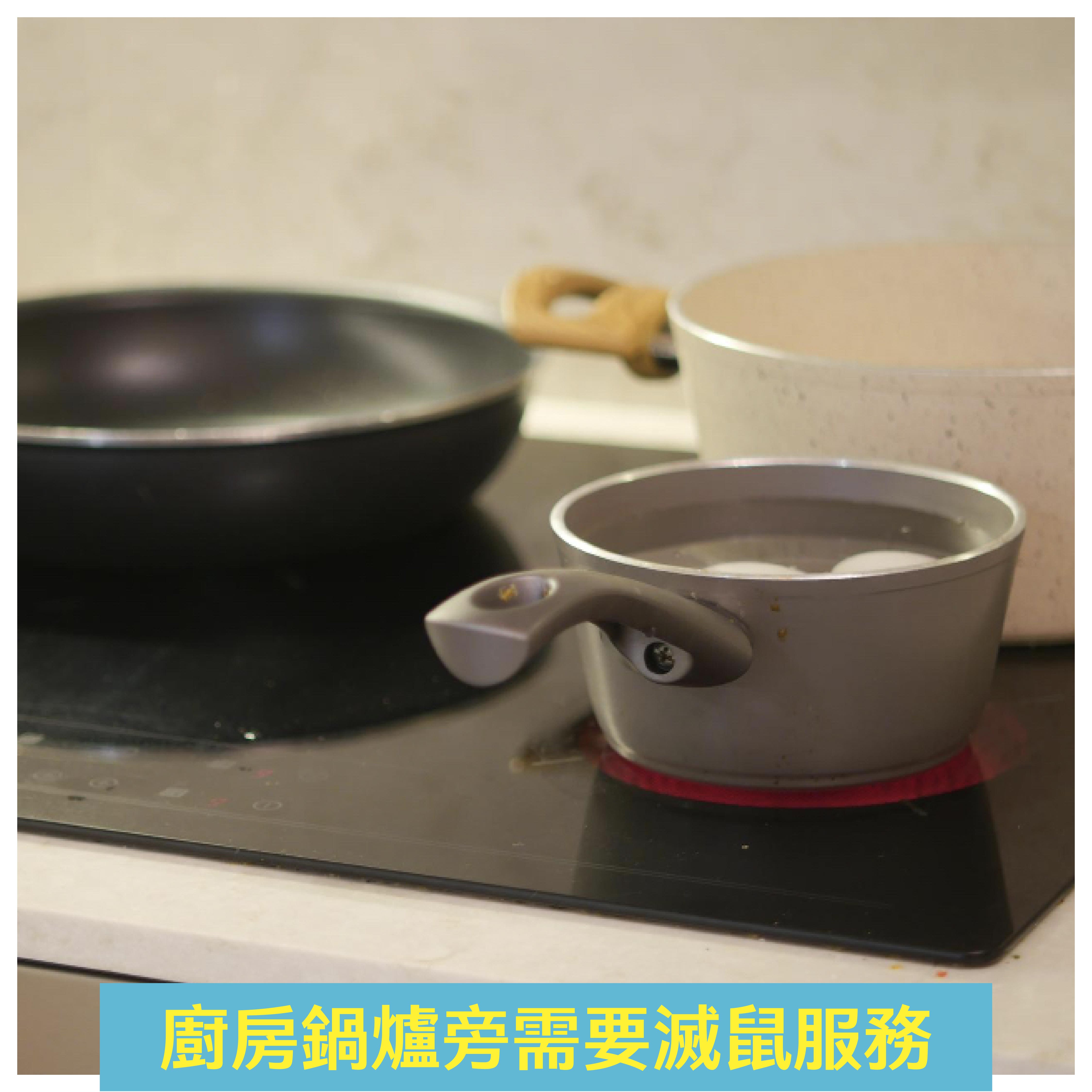 廚房鍋爐旁需要滅鼠服務