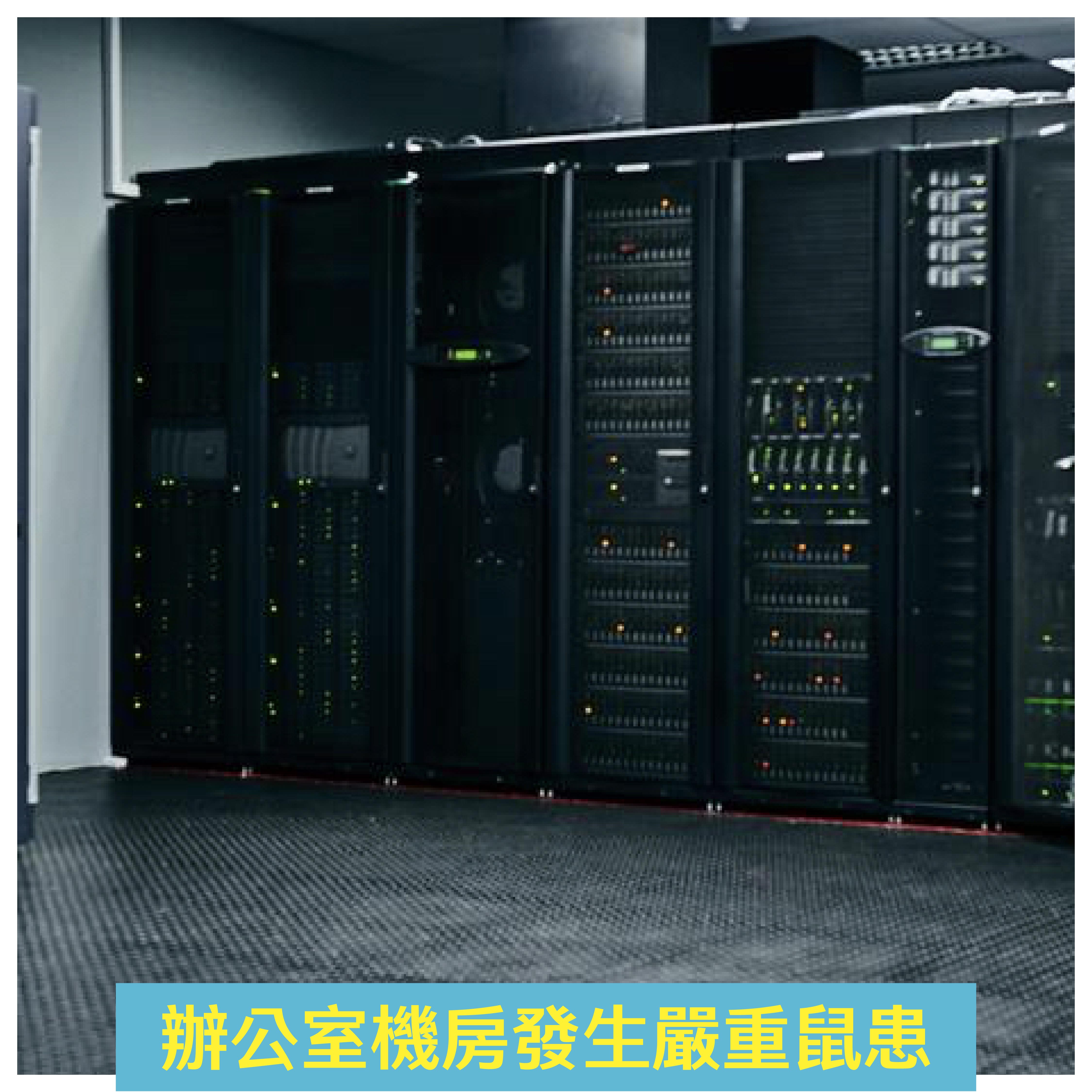 辦公室機房發生嚴重鼠患
