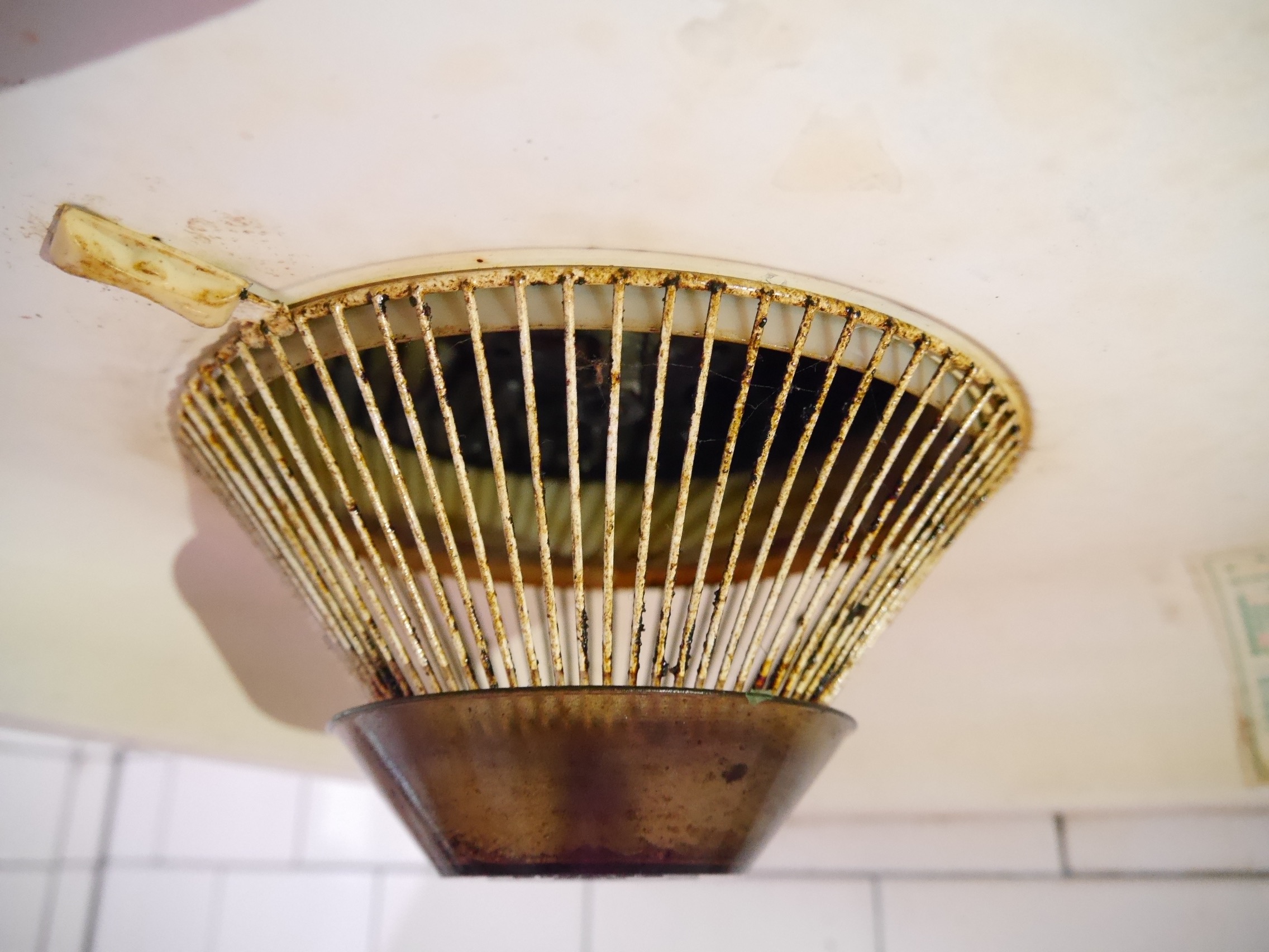 呼吸道疾病、肺癌