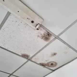 天花板發霉清潔處理