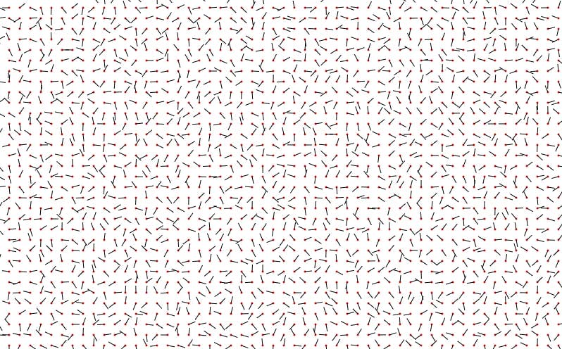 Random vector field