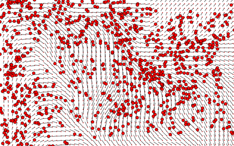 Many Particles on Vector Field
