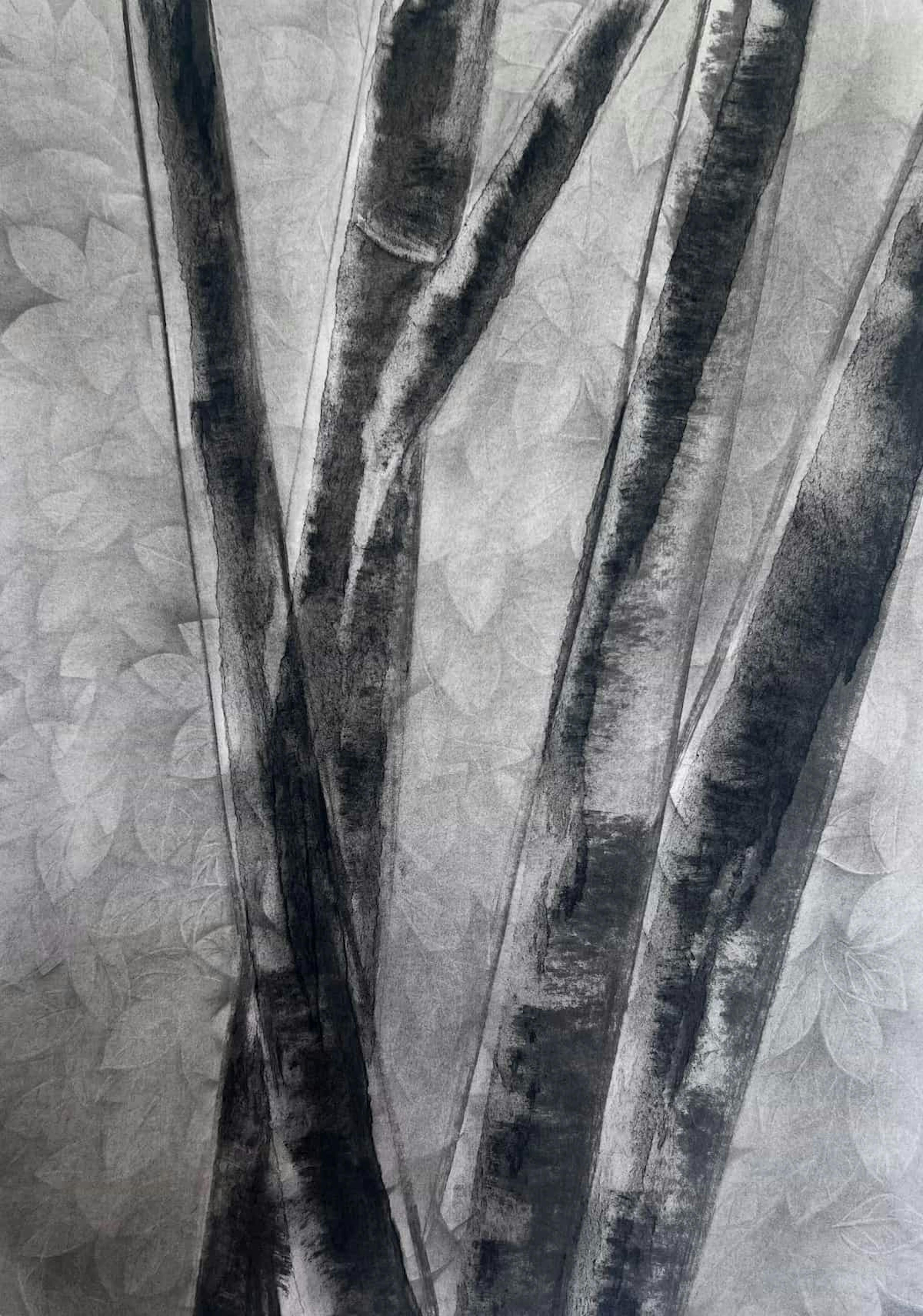 Beech 4 — Charcoal on paper