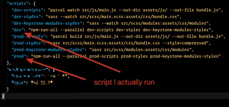 screenshot of npm scripts
