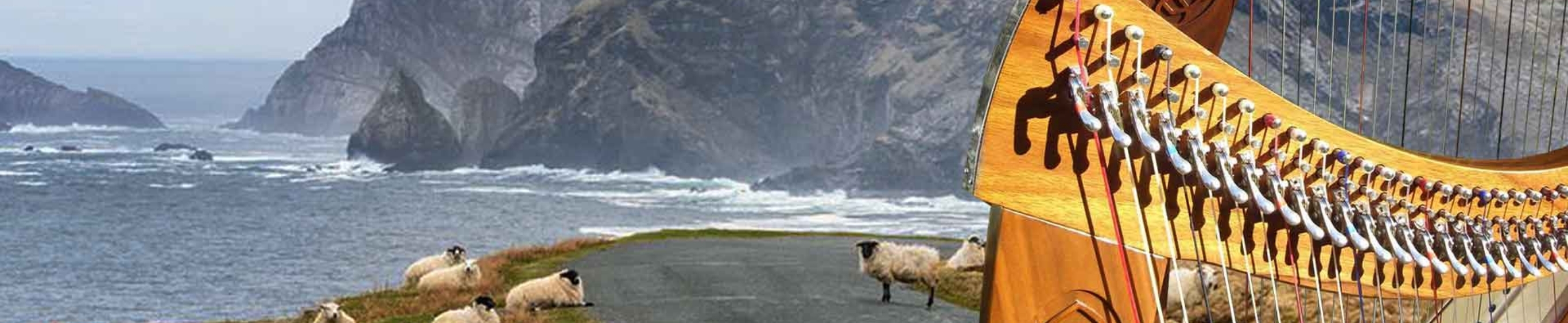Dongeal Ireland Harp summer schools