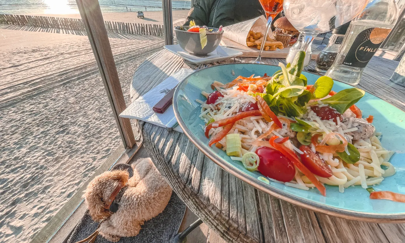 Sonnenuntergang mit Hund im Strandpaviljoen Scheldezicht in Zeeland genießen