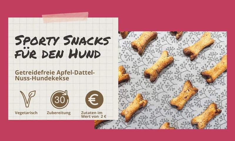 Rezept für gesunde Hundekekse mit Datteln ohne Getreide