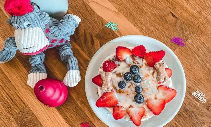 Hundegeburtstag feiern: Torte backen