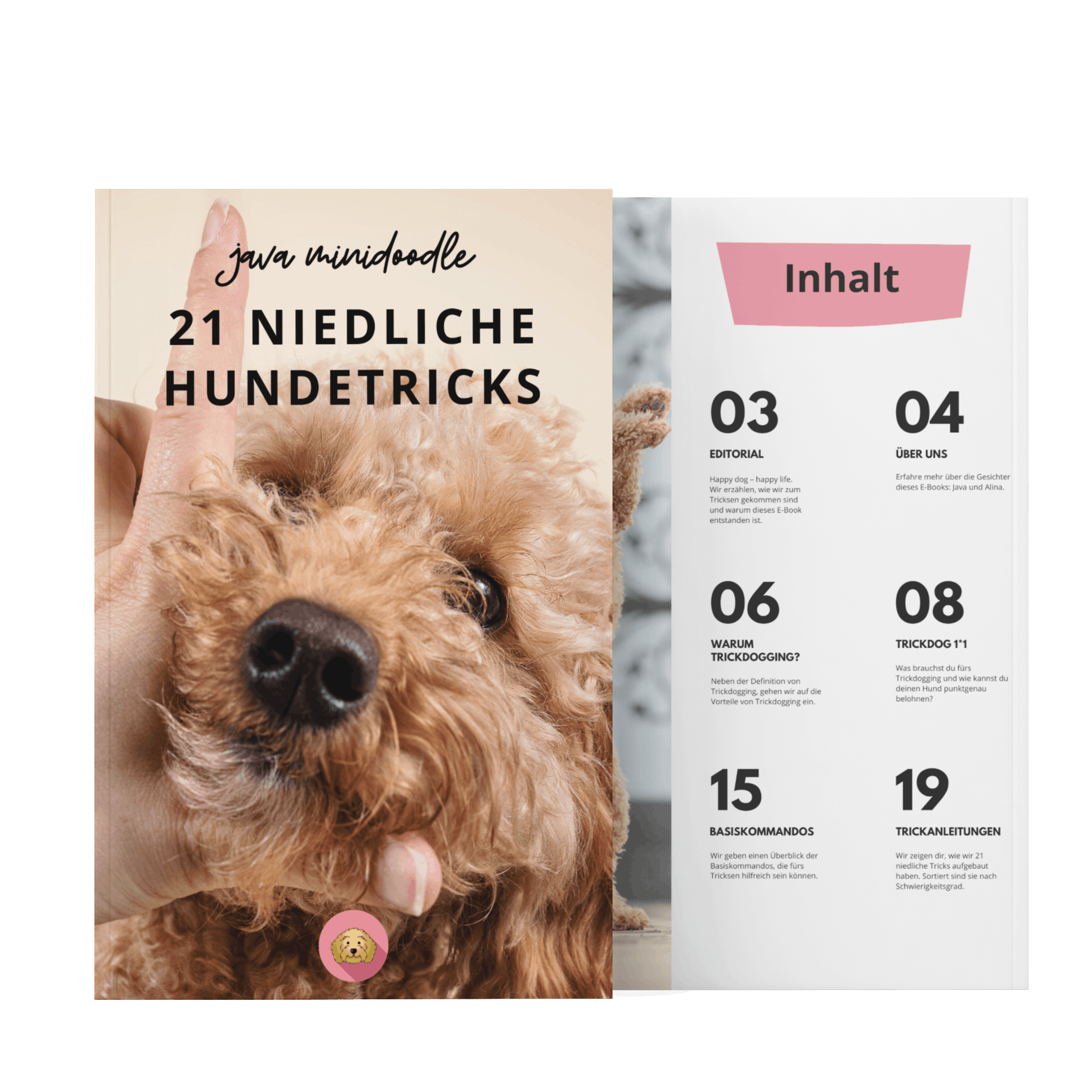 E-Book: Hundetricks lernen mit Java Minidoodle