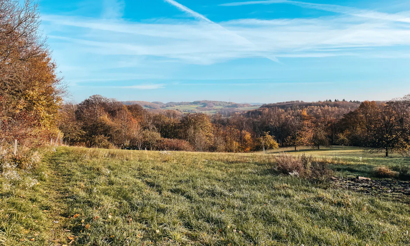 Bergischer Weg mit Hund von Velbert bis Düssel