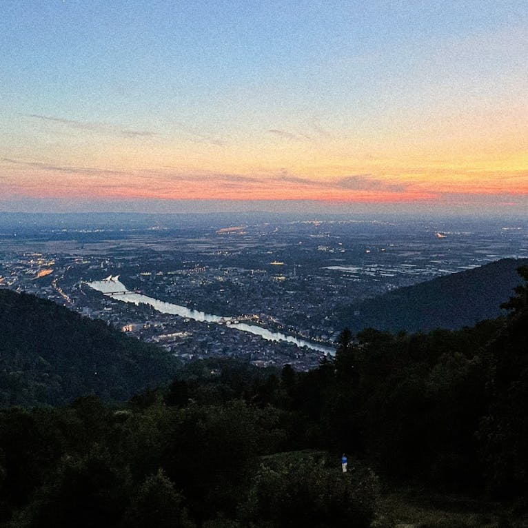 Berggasthof Königstuhl in Heidelberg mit Hund
