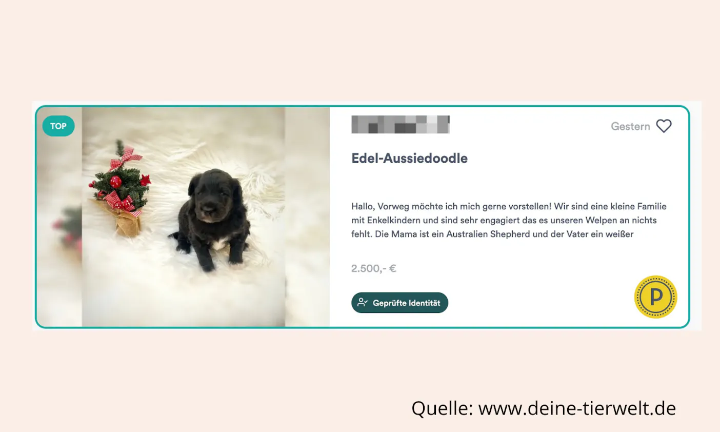 Edel-Aussiedoodle als Verkaufsargument