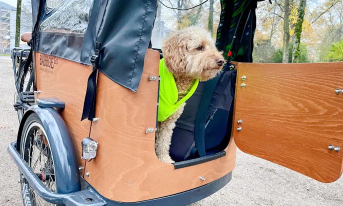 Pudel mit warmen Hundemantel aus Fleece in neongelb