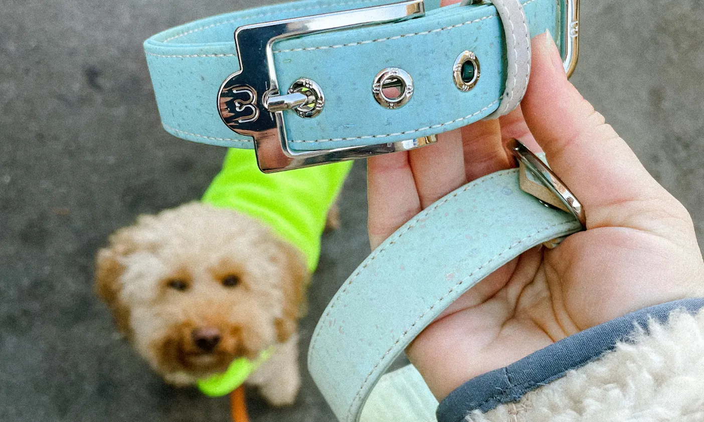 Vegane Lederalternative für Hundeleinen und Hundehalsbänder