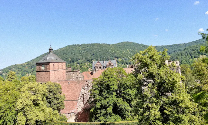 Heidelberger Schloss kann mit Hund von außen besichtigt werden