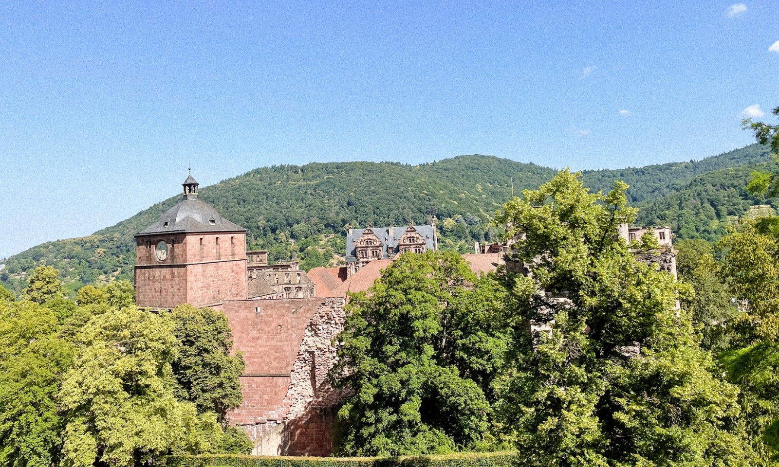 Heidelberger Schloss kann mit Hund von außen besichtigt werden