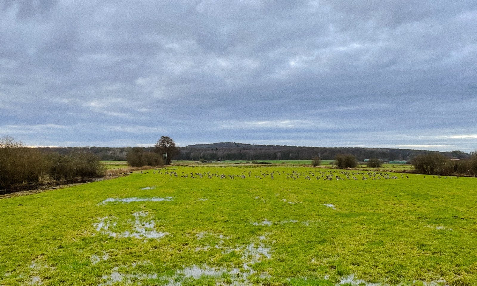 Steinhuder Meer in Niedersachsen
