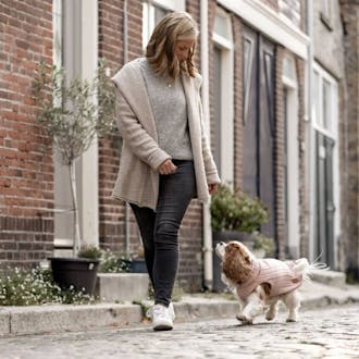 Goldhund Gewinnspiel