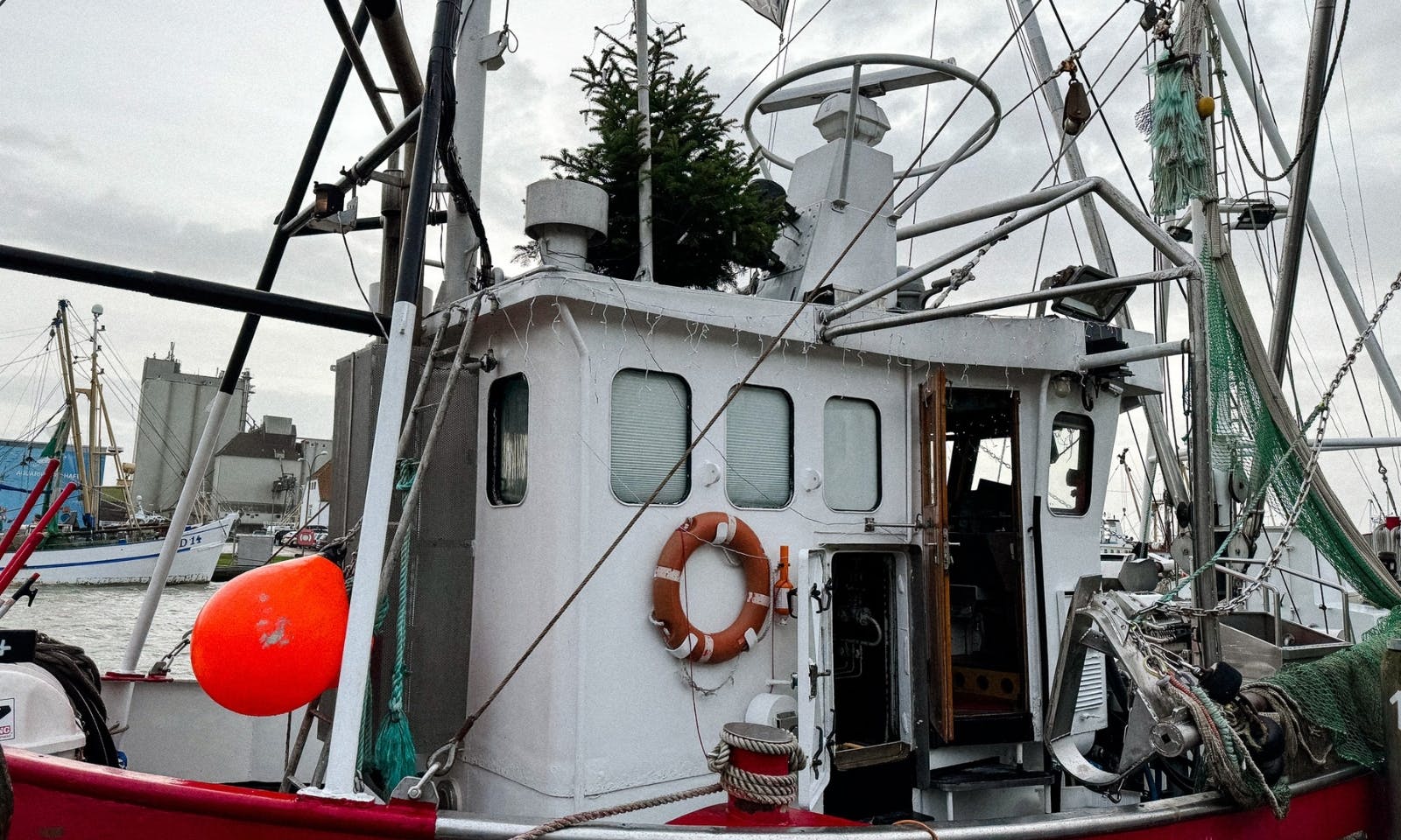 Schiff mit Weihnachtsbaum im Büsumer Hafen 