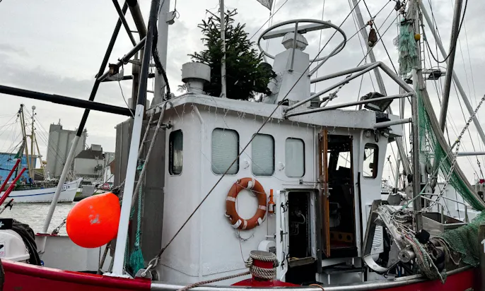Schiff mit Weihnachtsbaum im Büsumer Hafen