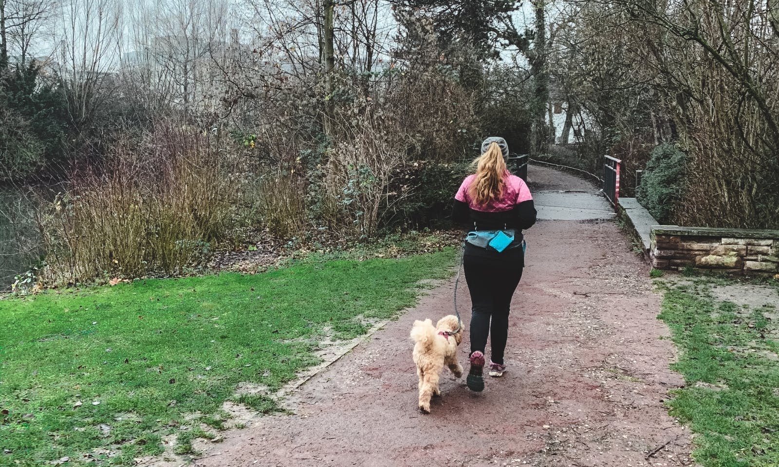 Joggen mit Hund