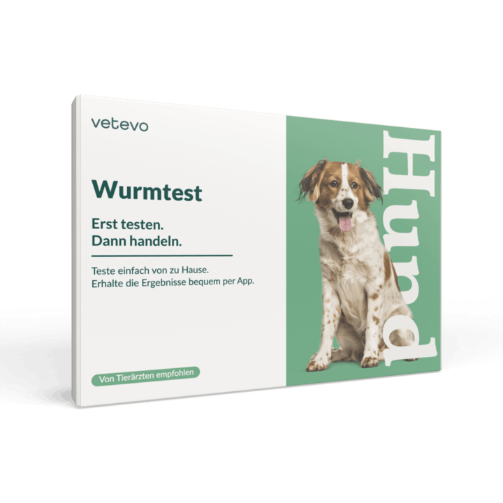 Wurmkuralternative vetevo für Hunde