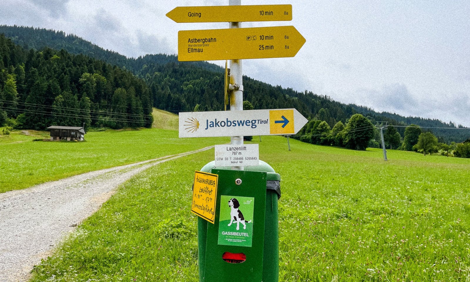 Wandern mit Hund am Wilden Kaiser: Von Ellmau zum Astbergsee über den Treichlhof