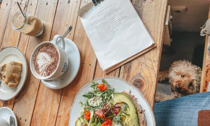 Café Hase in Aachen mit Hund