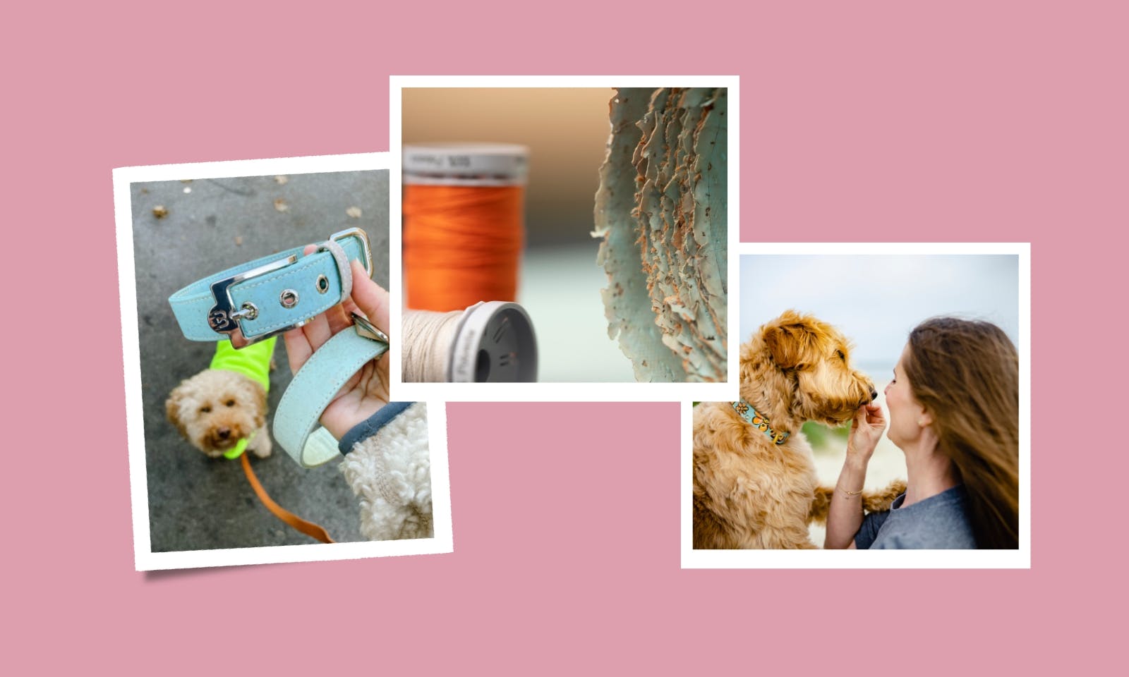 Nachhaltige und hochwertige Lifestyle-Accessoires für Hunde: Hundemanufaktur Willi Wiggle aus Solingen im Interview