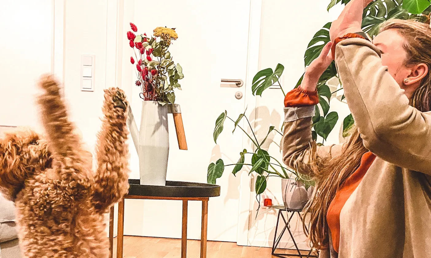 tolle Mensch-Hund-Beziehung