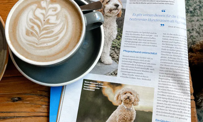 Roasted Coffeebar in Düsseldorf Pempelfort mit Hund