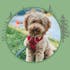 Hundeblog für Wander-Themen mit Hund