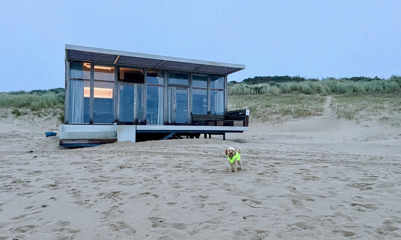 Hund steht vor einem Tiny House auf einem Strand in den Niederlanden