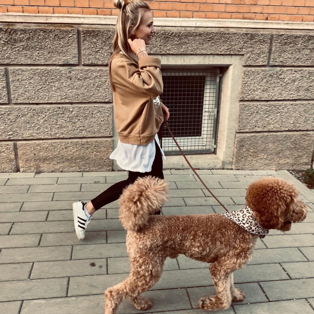 Pudel oder Doodle: Interview