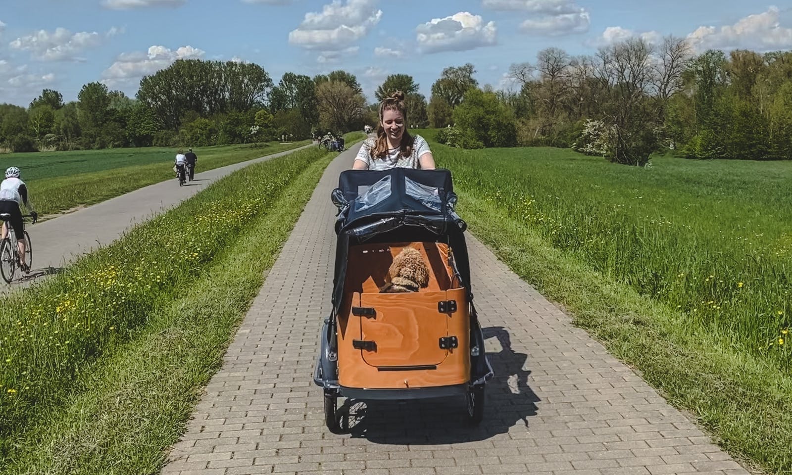 Lastenrad Babboe E-Go für Hunde
