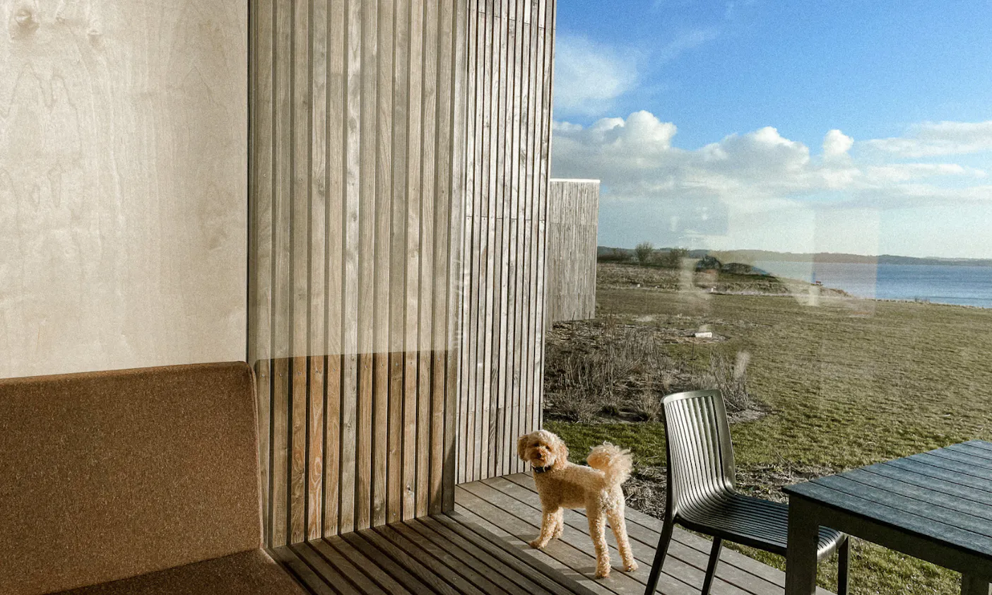 Wunderschöne Location für eine Workation mit Hund an der Ostsee