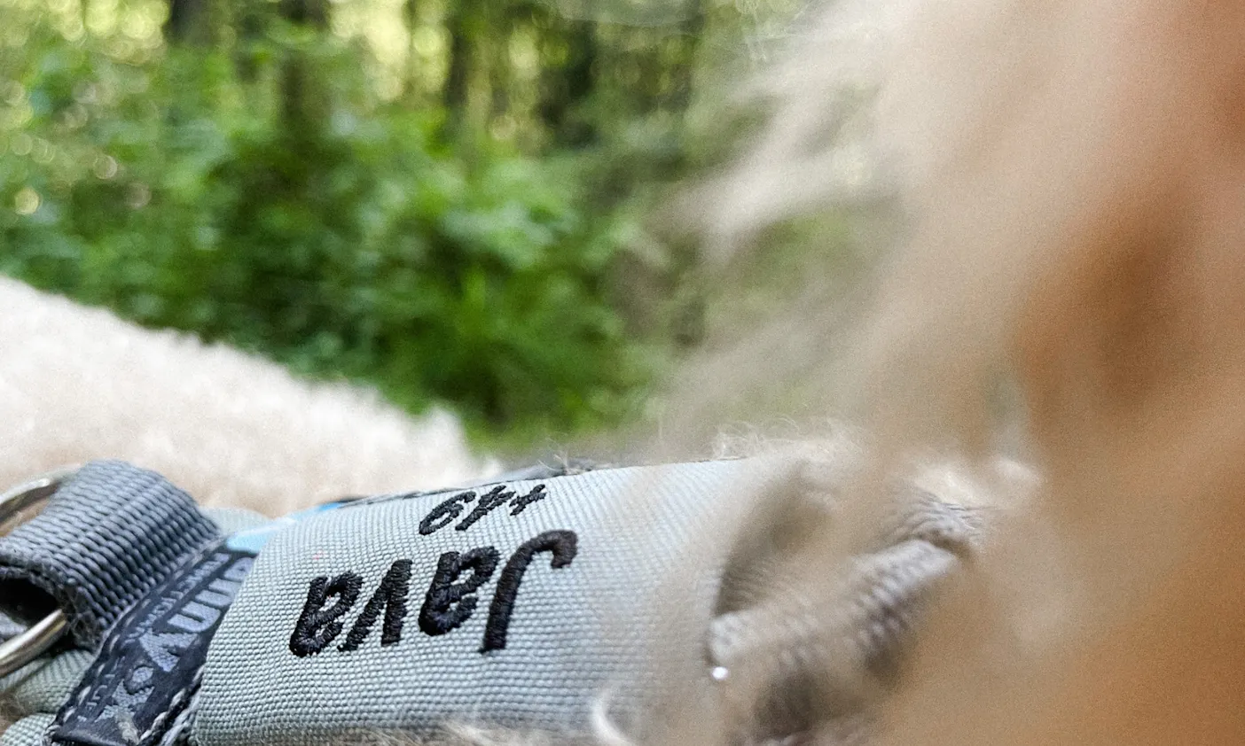 Telefonnummernschild für das Hundegeschirr Anny-X mit Klett und bestickter Telefonnummer und Hundenamen für mehr Sicherheit