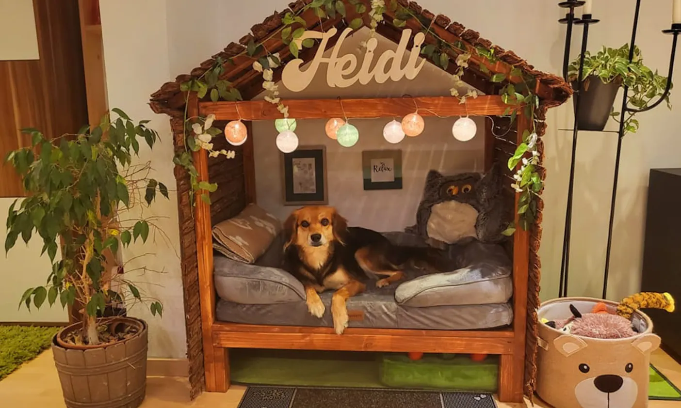Luxus DIY-Hundehütte