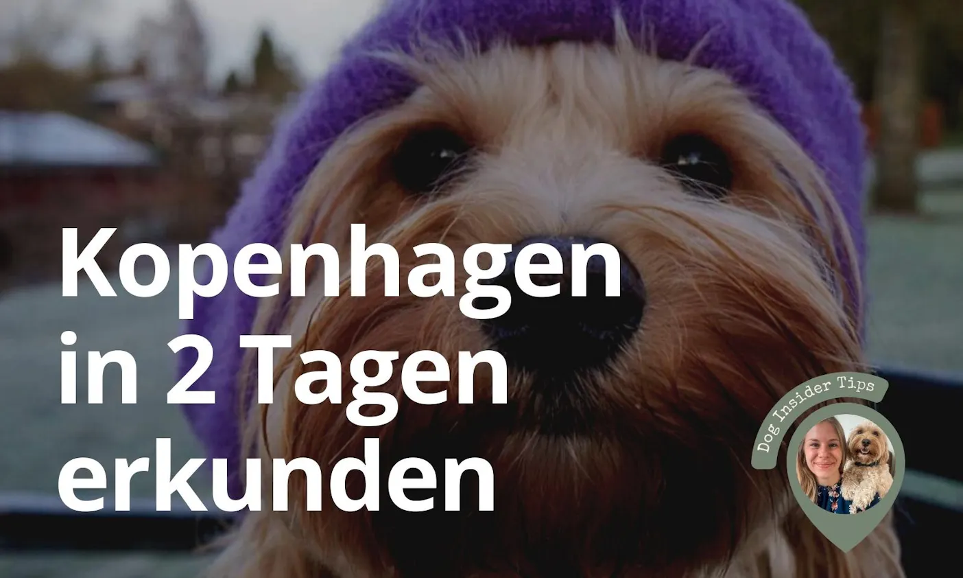 Kopenhagen mit Hund erkunden