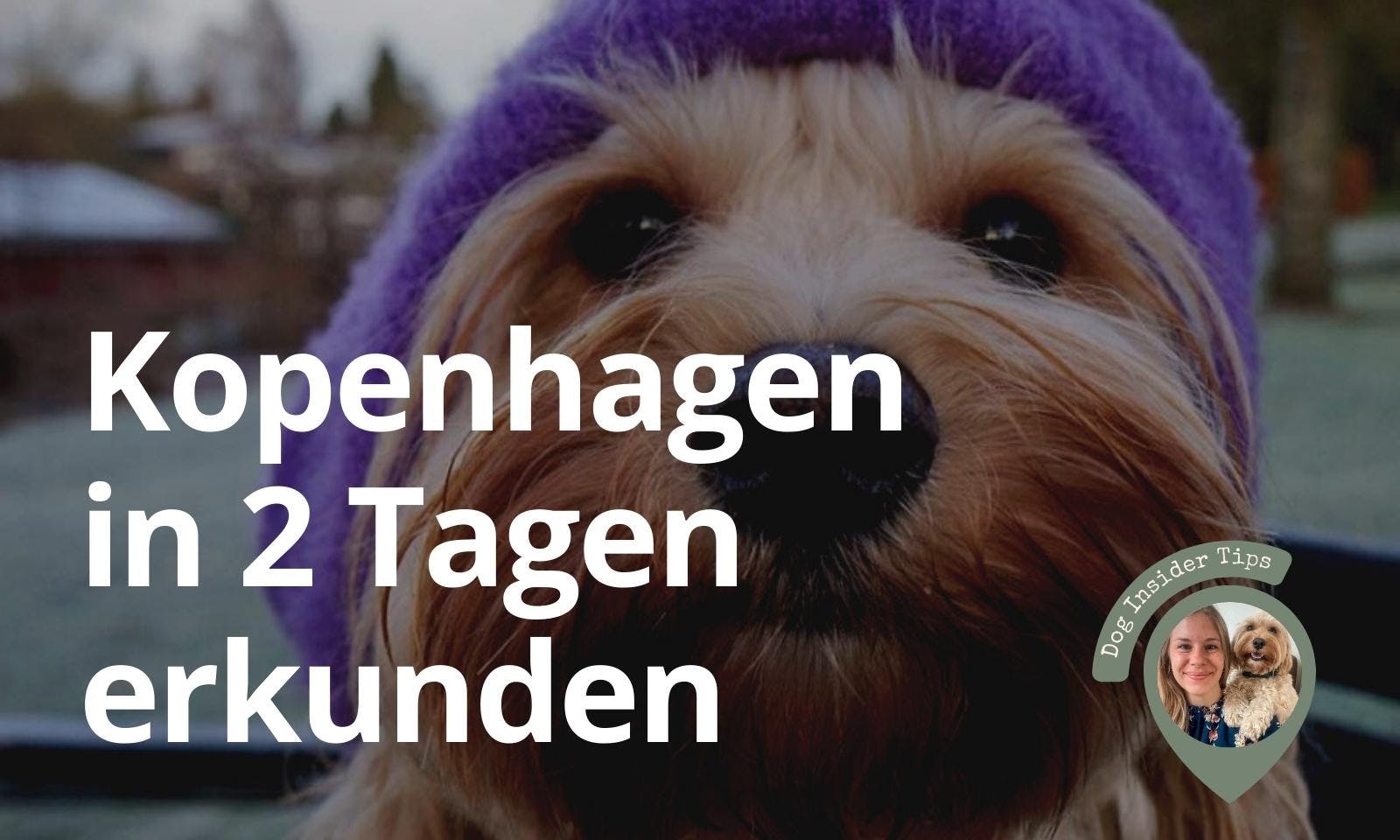 Kopenhagen mit Hund erkunden