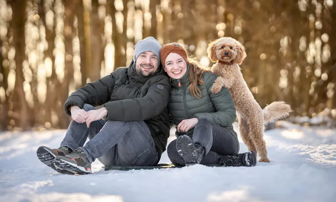 Goldendoodle macht den Hundetrick Selfie