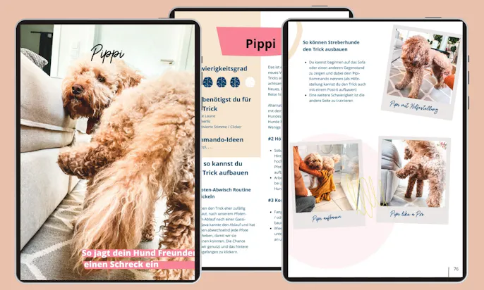 Schwierige Hundetricks lernen: Pipi machen