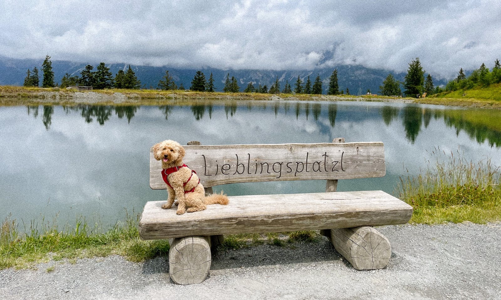 Wandern in Tirol mit Hund